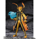 [Pre-order] Demoniacal Fit Dragon Ball Ultimate Time Ranger SS4 Xeno Vegito  Figure