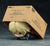 **Pre Order**Nendoroid Raiden: MGS2 Ver.(Re-run) Action Figure