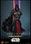 Hot Toys 1/6 Scale Star Wars Darth Revan (Legends) Action Figure