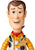 Revoltech Toy Story Woody Ver. 2.0 Action Figure