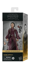 Star Wars Black Series The Phantom Menace Padme Amida Episode I Action Figure