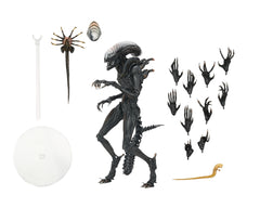 **Pre Order**NECA ALIEN: ROMULUS ULTIMATE SCORCHED XENOMORPH Action Figure