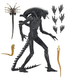 **Pre Order**NECA ALIEN: ROMULUS ULTIMATE XENOMORPH XX121 Action Figure