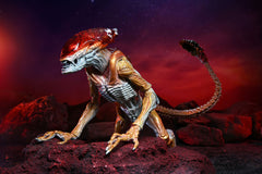 NECA Aliens Kenner Tribute Panther Alien Action Figure