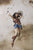 S.H. Figuarts Wonder Woman (Justice League) "Justice League" Action Figure